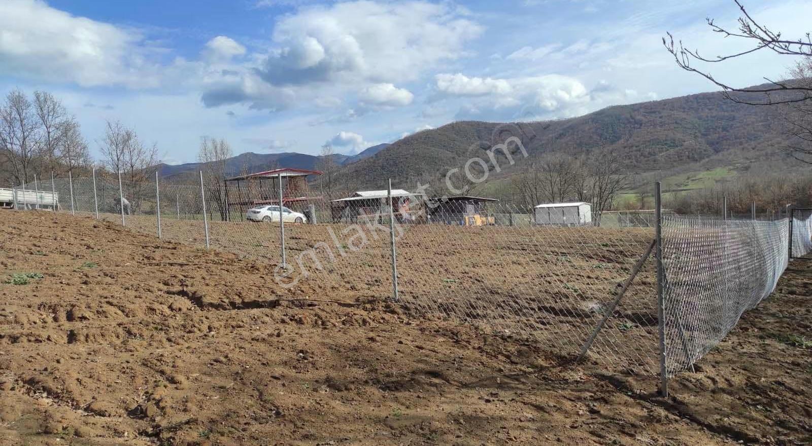 Yenişehir Fırsat Yatırımlık Tarla - Görsel 3