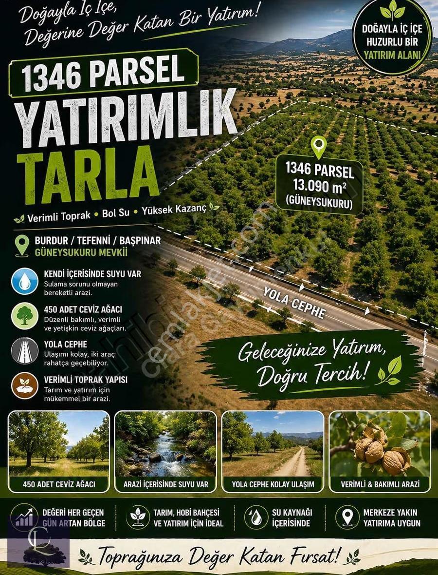 Burdur Tefenni Başpınar Köyü Satılık Ceviz Bahçesi