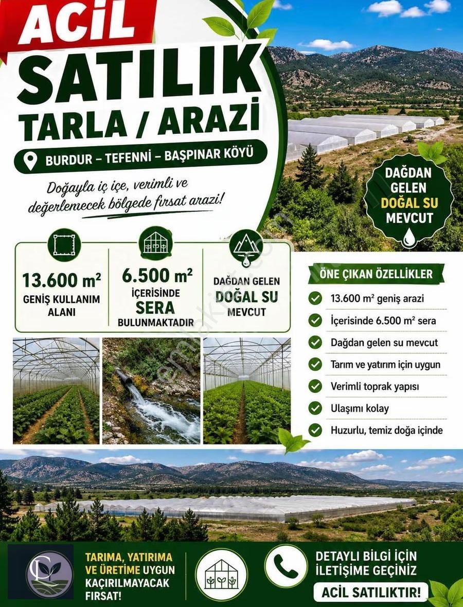 Burdur Tefenni Başpınar Köyü Satılık Sera