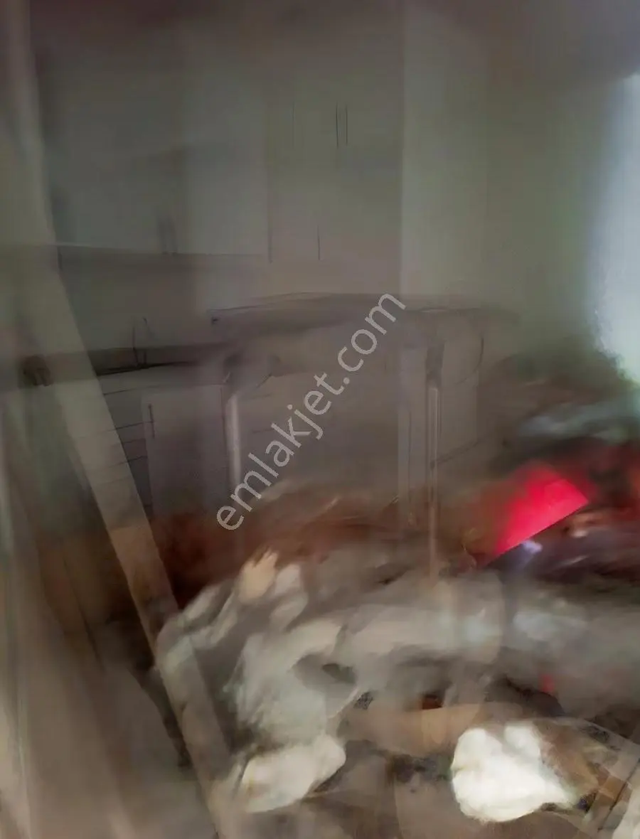 Sarıyer Bahçeköyde İki Katlı Evin Giriş Katı Kiralık - Görsel 3