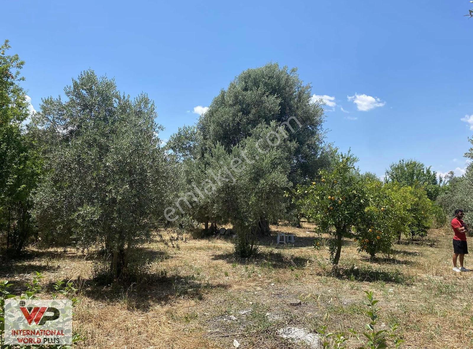 Saklıkent Yolu Üzeri Satılık Arazı İki Katlı Bina - Görsel 13