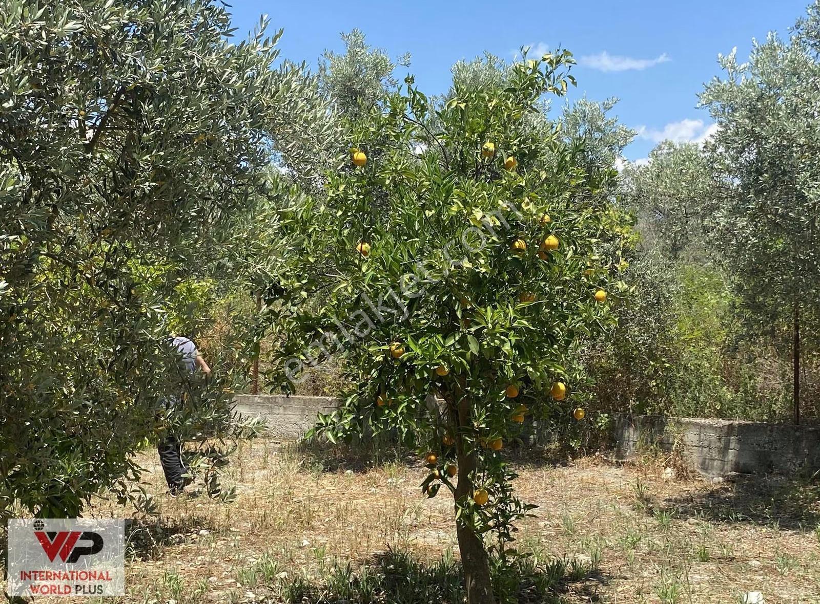 Saklıkent Yolu Üzeri Satılık Arazı İki Katlı Bina - Görsel 9