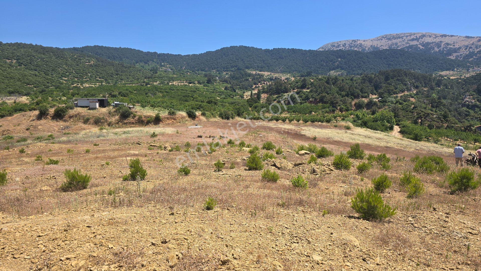 Spil Dağı Eteklerinde, Beşpınar'da 9.765 M² Büyüklüğünde Kiraz Bahçesi Ve Tarla - Görsel 20