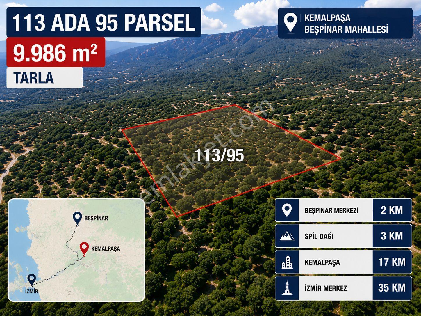 Beşpınar'da Doğayla İç İçe, Suyu Olan Ve Üretime Uygun 9.986 M² Tarla - Görsel 2