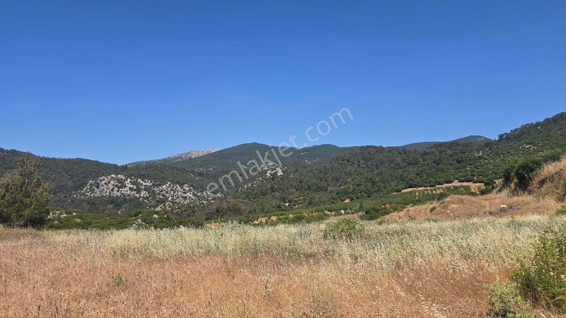 Beşpınar'da Doğayla İç İçe, Suyu Olan Ve Üretime Uygun 9.986 M² Tarla - Görsel 7