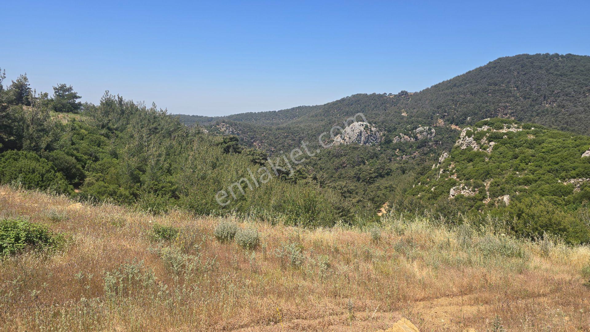Beşpınar'da Doğayla İç İçe, Suyu Olan Ve Üretime Uygun 9.986 M² Tarla - Görsel 11