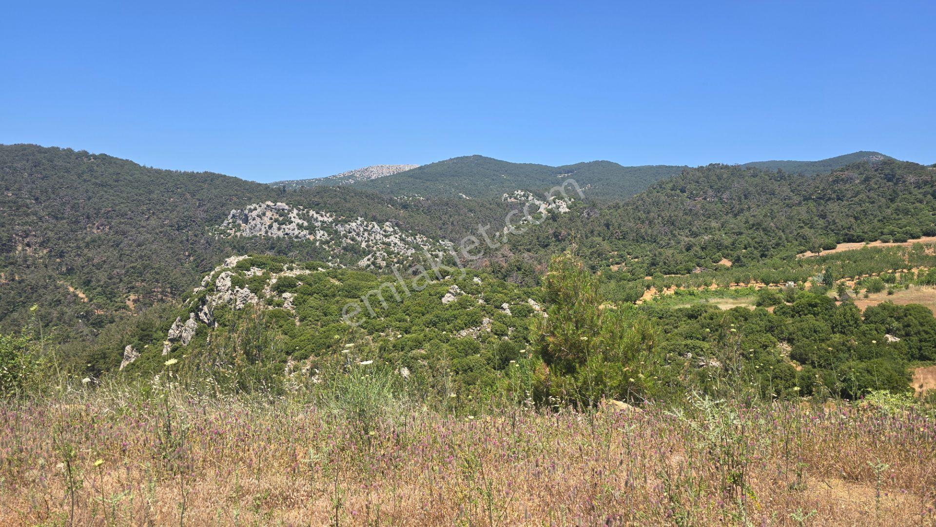 Beşpınar'da Doğayla İç İçe, Suyu Olan Ve Üretime Uygun 9.986 M² Tarla - Görsel 14