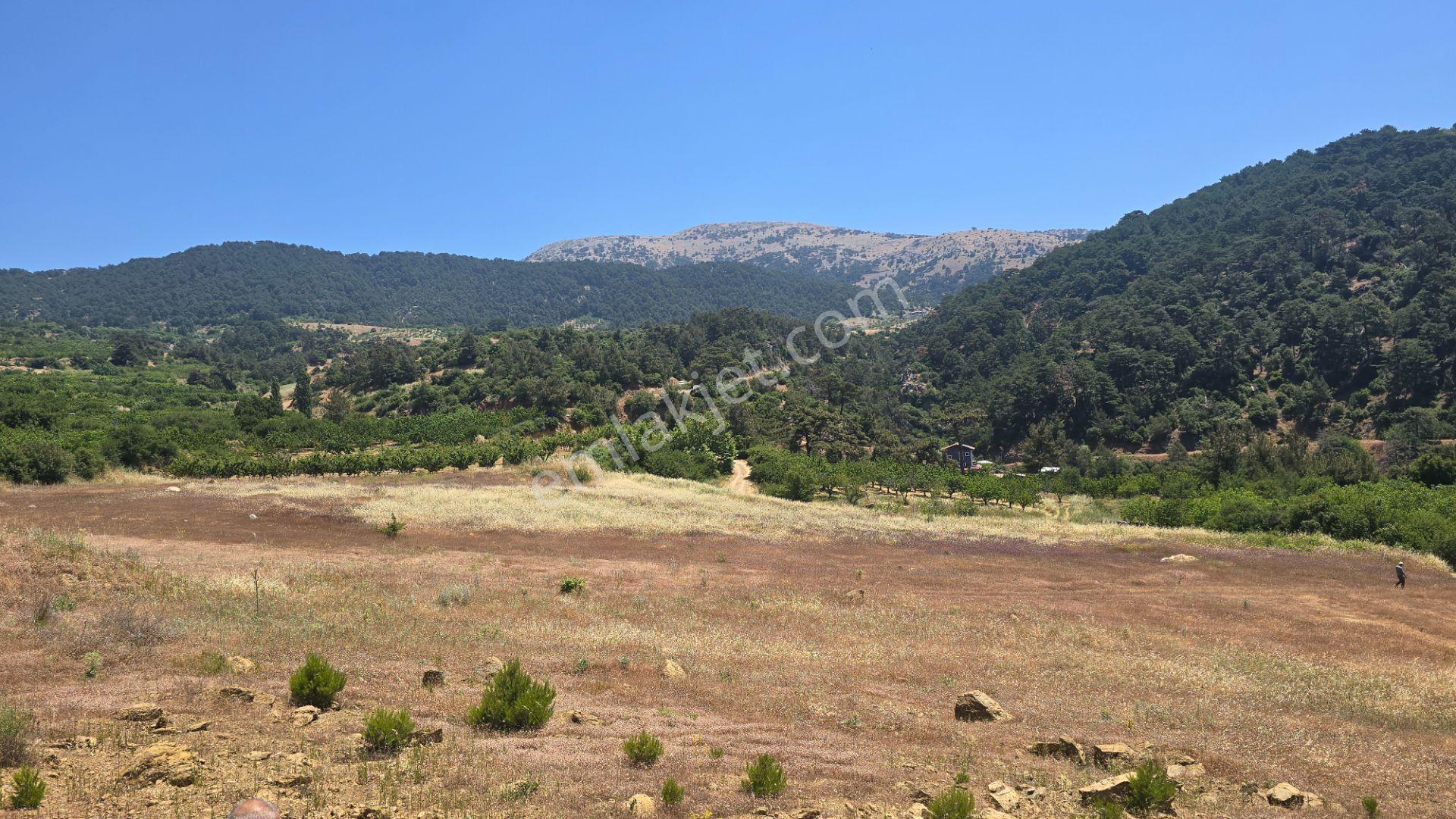 Beşpınar'da Doğayla İç İçe, Suyu Olan Ve Üretime Uygun 9.986 M² Tarla - Görsel 18
