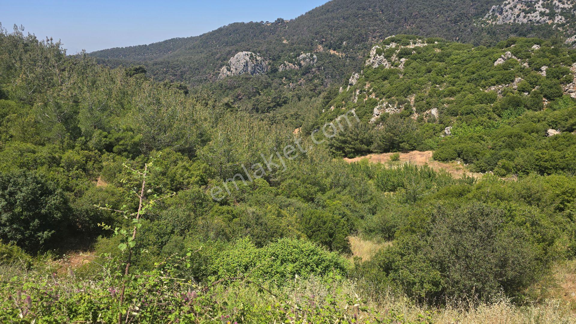 Beşpınar'da Doğayla İç İçe, Suyu Olan Ve Üretime Uygun 9.986 M² Tarla - Görsel 13