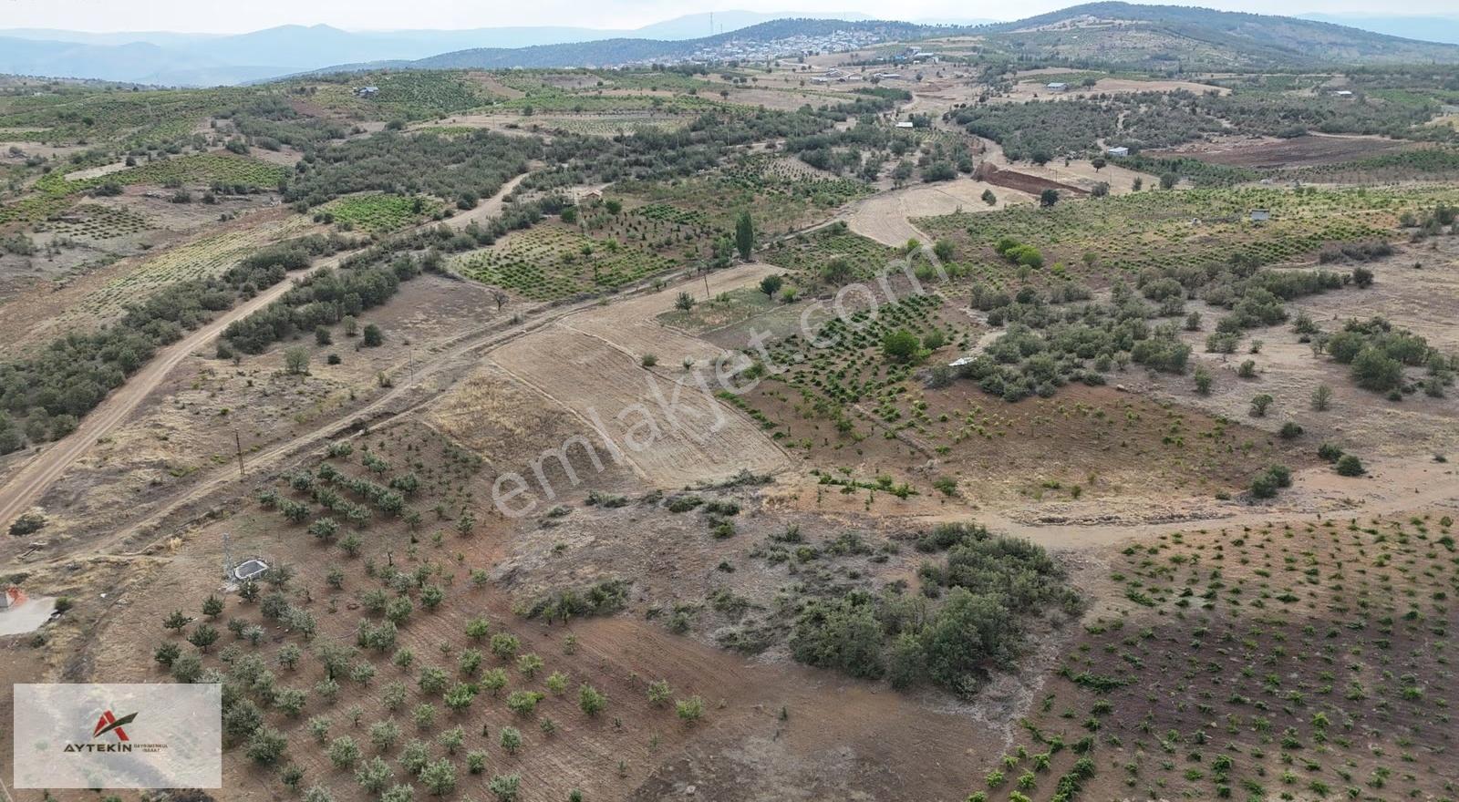 Konya Bozkır Hamzalar Mahallesi'nde 837 M² Müstakil Tapulu Bağ - Görsel 6