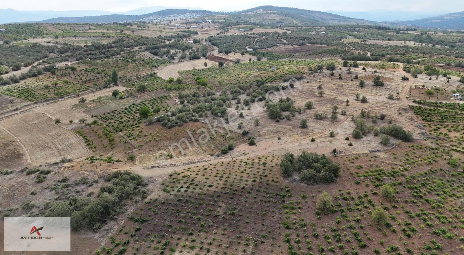 Konya Bozkır Hamzalar Mahallesi'nde 837 M² Müstakil Tapulu Bağ - Görsel 7