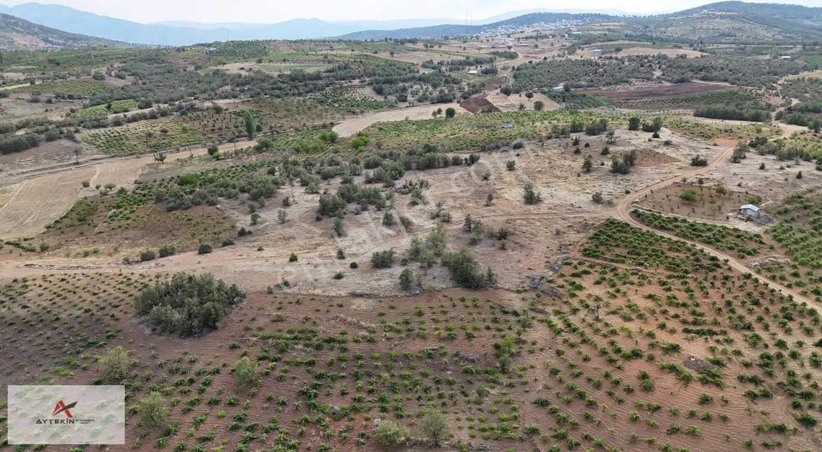 Konya Bozkır Hamzalar Mahallesi'nde 837 M² Müstakil Tapulu Bağ - Görsel 8