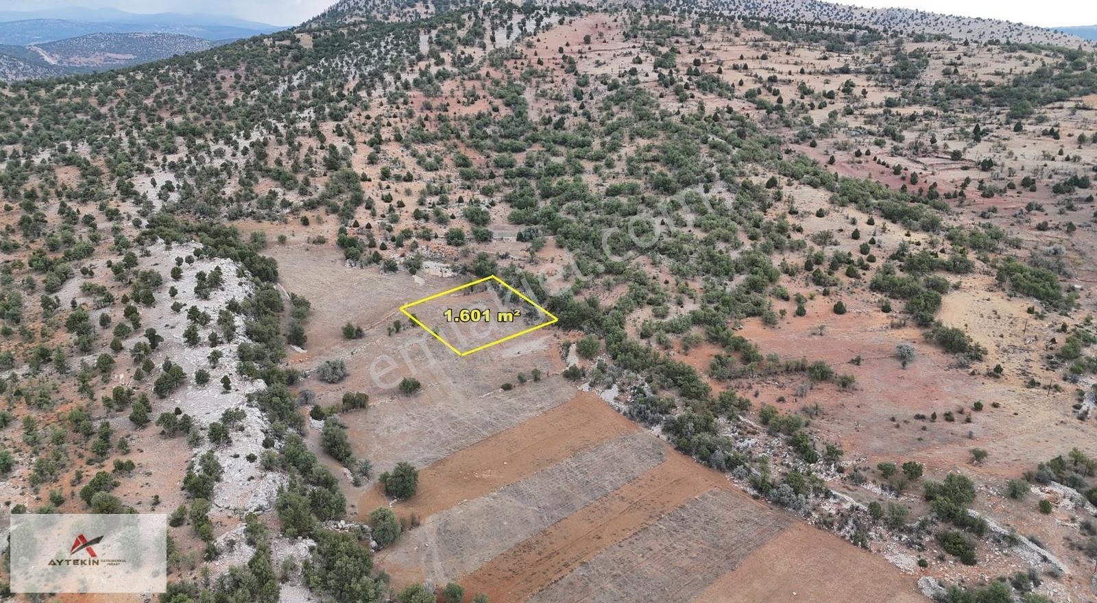 Konya Bozkır Hacılar Mahallesinde 1.601 M² Müstakil Tapulu Tarla - Görsel 3