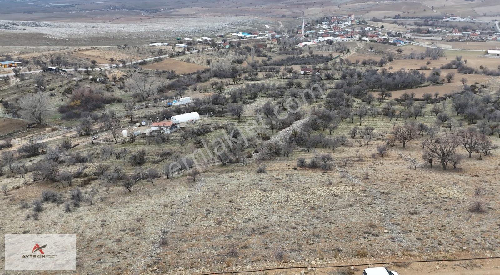 Konya Meram Sarıkız Mahallesi'nde 153 M² İntikal Tapulu Bağ