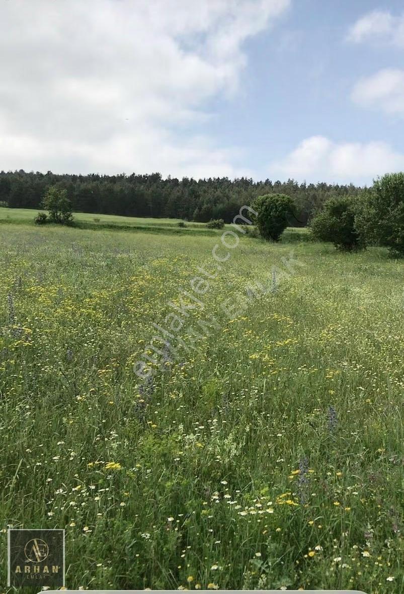 Kastamonu Merkez Gödel Köyünde 18.000 M2 Satılık Arazi - Görsel 4