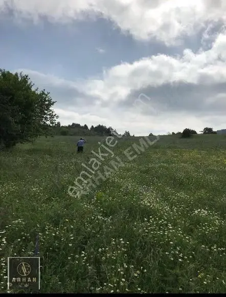 Kastamonu Merkez Gödel Köyünde 18.000 M2 Satılık Arazi - Görsel 3