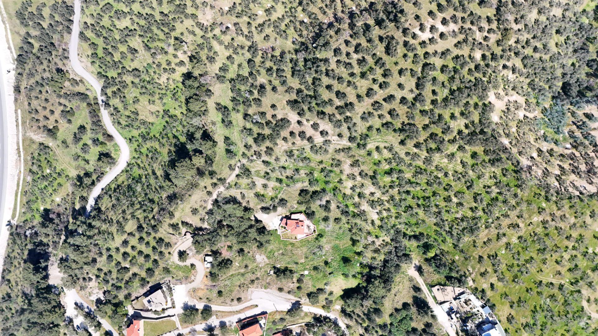 Küçükçetmi'de Fırsat Zeytinlik! | Küçükkuyuya 1km 7.3 Dönüm - Görsel 7
