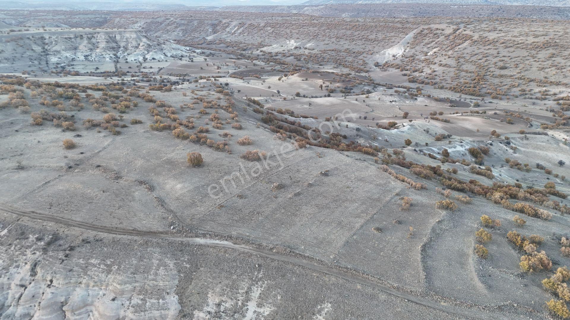 Meram Yeşildere Mahallesinde Yola Sıfır 1.832 M² Müstakil Tarla - Görsel 2