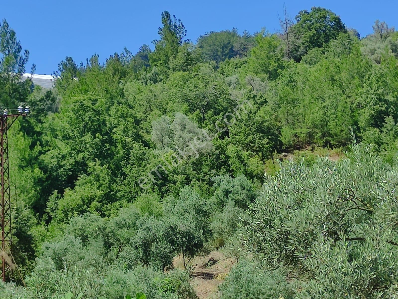 Denize Ve Turistik Noktalara Kolay Ulaşımlı | Satılık 4.575 M² - Görsel 7