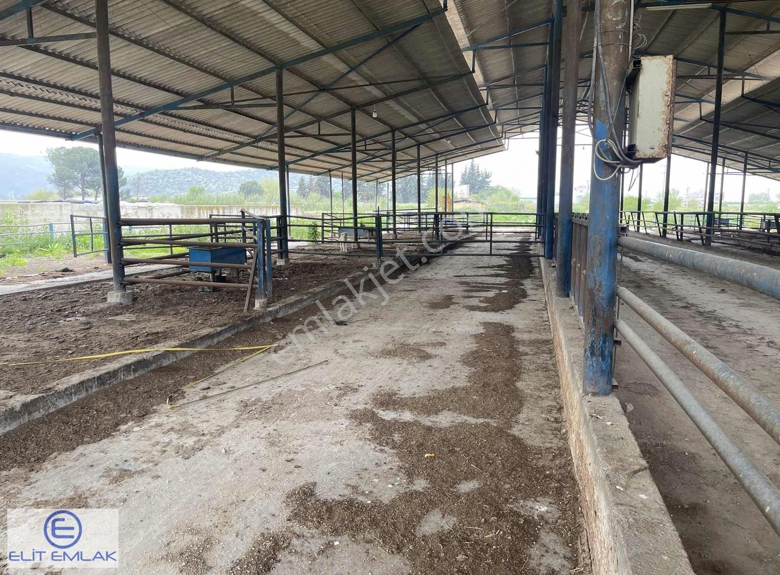 Muğla Otoyolu Üstü Yatırım Fırsatı - Görsel 5
