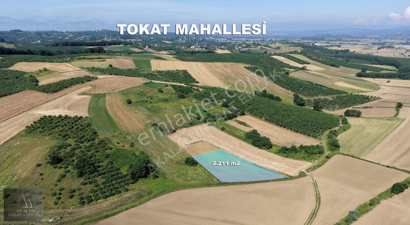 Tokat Mahallesi'nde Osb'ye Sınır, 2.211 M² Müstakil Tapu Yatırım - Görsel 14