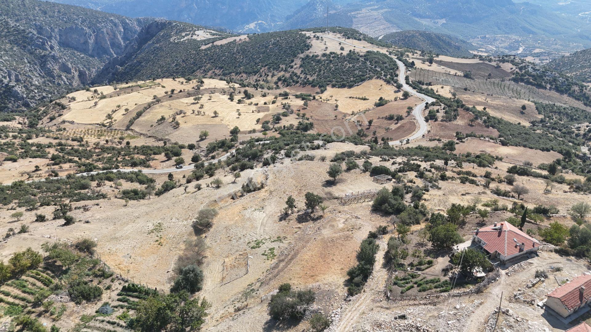 Karaman Merkez Özdemir Mh Yola Sıfır 1.687 M² Müstakil Tarla - Görsel 4