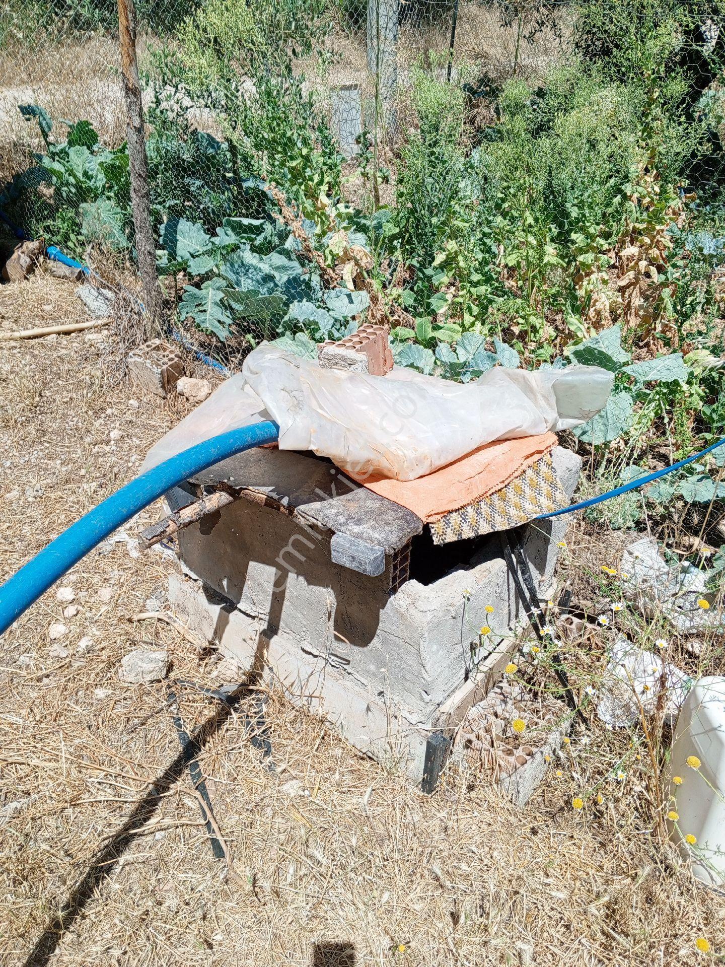 Yeliz'den Manisa Soma'ya 5 Km Mesafede Çiftlik - Görsel 7