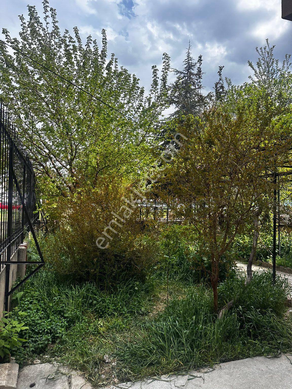 Sahibinden Acil Satılık.3.5 Katlı Komple Bina - Görsel 11