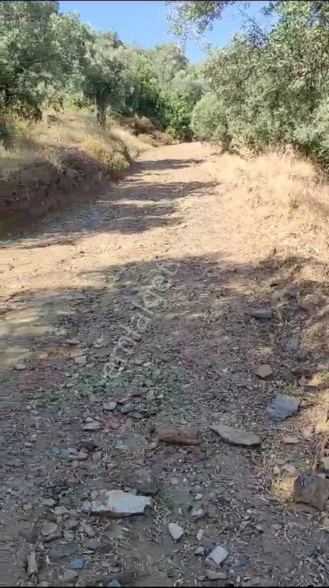 Bayındır Ergenli Mahallesinde Satılık 518m2 Tarla - Görsel 3