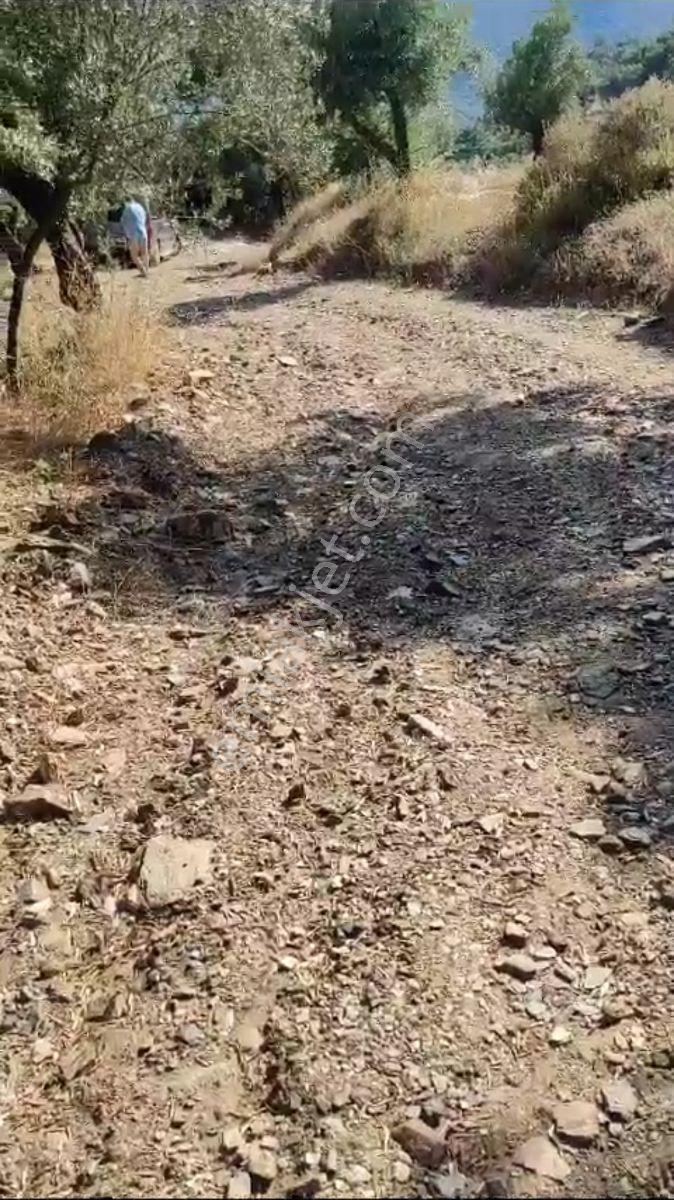 Bayındır Ergenli Mahallesinde Satılık 518m2 Tarla - Görsel 5