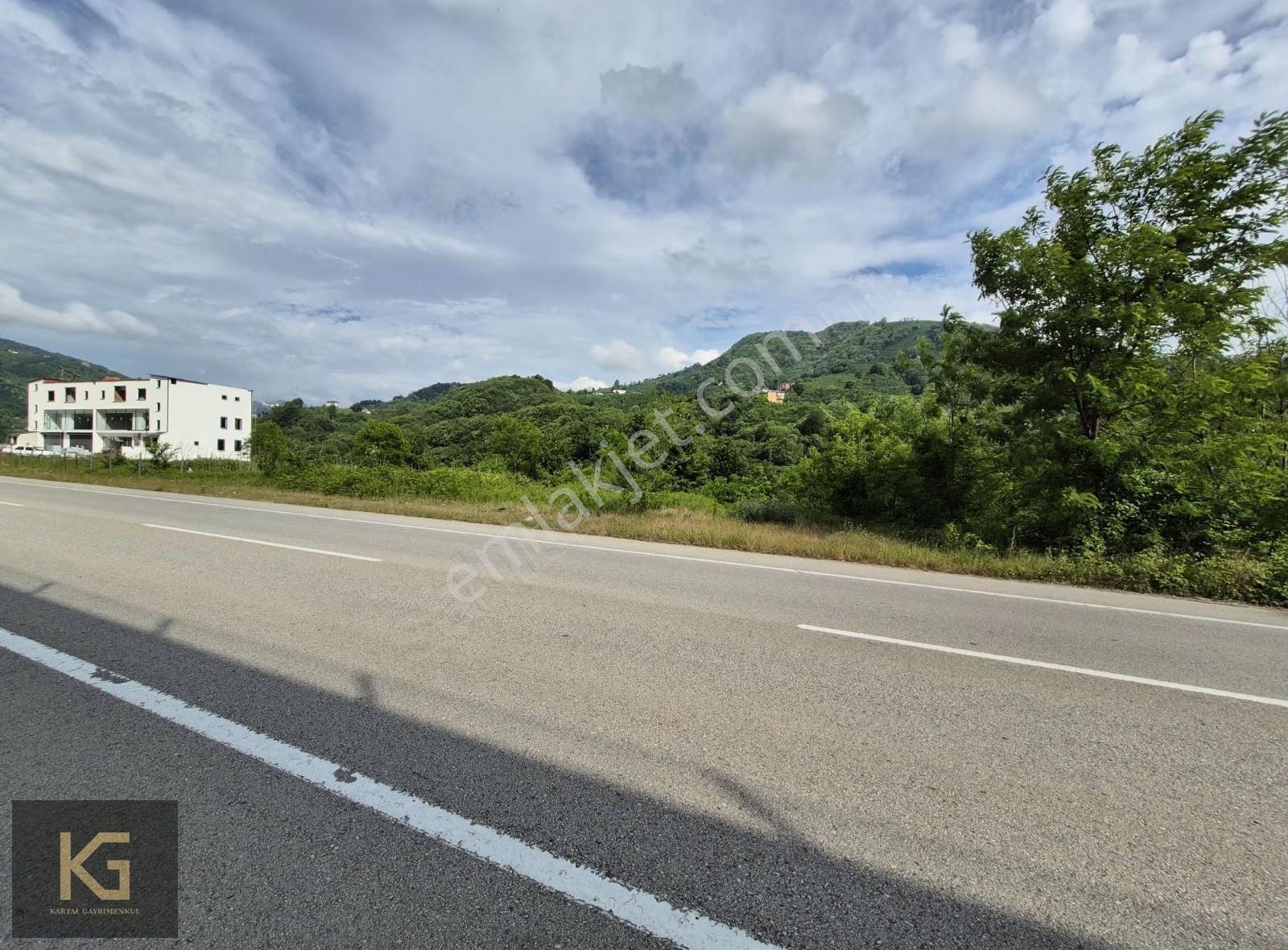 Çatalpınar Kayatepe Mahallesine Ana Yol Kenarı Arazi - Görsel 8