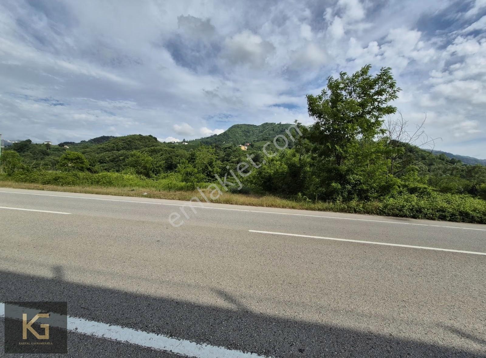 Çatalpınar Kayatepe Mahallesine Ana Yol Kenarı Arazi - Görsel 2