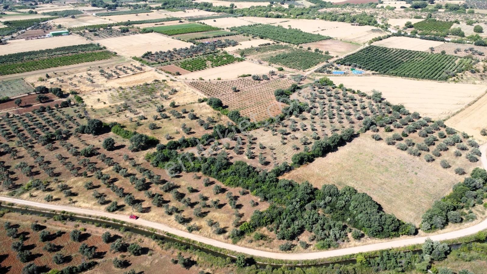 Çanakkale Bayramiç Ahmetçeli Köyü'nde Satılık Arazi - Görsel 22