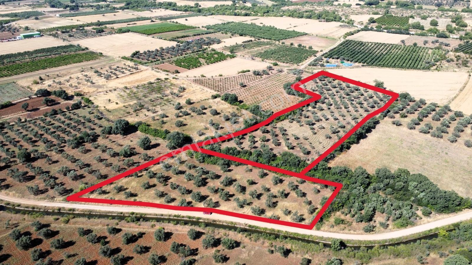 Çanakkale Bayramiç Ahmetçeli Köyü'nde Satılık Arazi