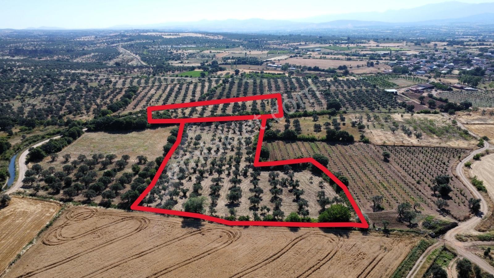 Çanakkale Bayramiç Ahmetçeli Köyü'nde Satılık Arazi - Görsel 3