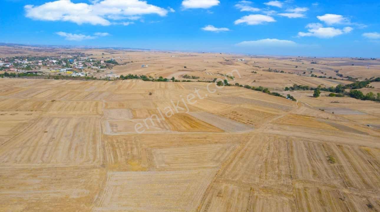 Tekirdağ Malkara Kozyörük Tek Tapu Yola Cephe 1.280 M2 Bağ Tapu - Görsel 2