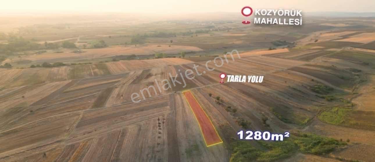 Tekirdağ Malkara Kozyörük Tek Tapu Yola Cephe 1.280 M2 Bağ Tapu - Görsel 4