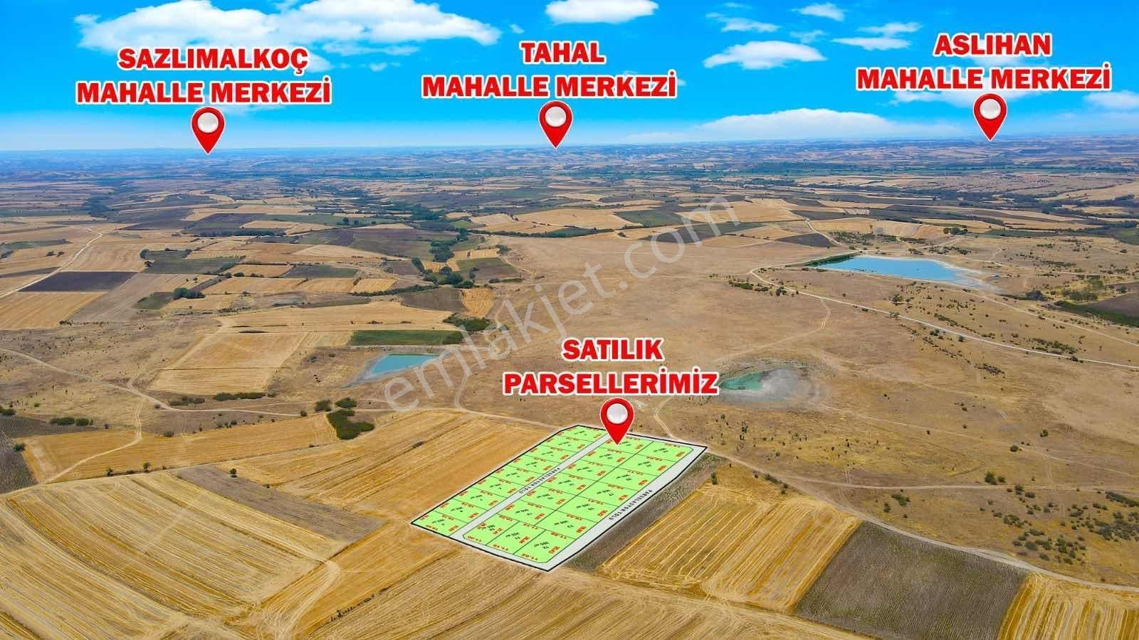 Edirne Havsa Kabaağaç Mahalle Yola Cephe 365 M2 Parsellerimiz - Görsel 10