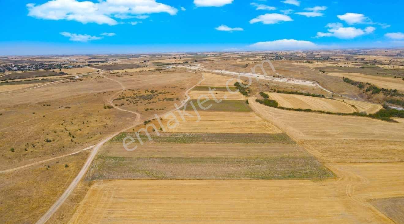 Edirne Havsa Kabaağaç Mahalle Yola Cephe 365 M2 Parsellerimiz - Görsel 5