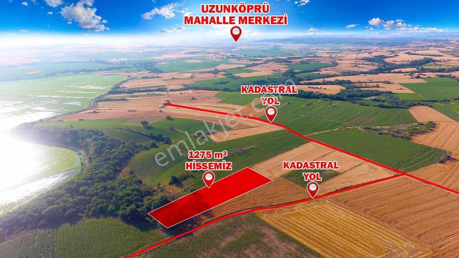 Uzunköprü Başağıl Mahallesinde 1.275 M2 Kadastral Yolu Mevcut - Görsel 8
