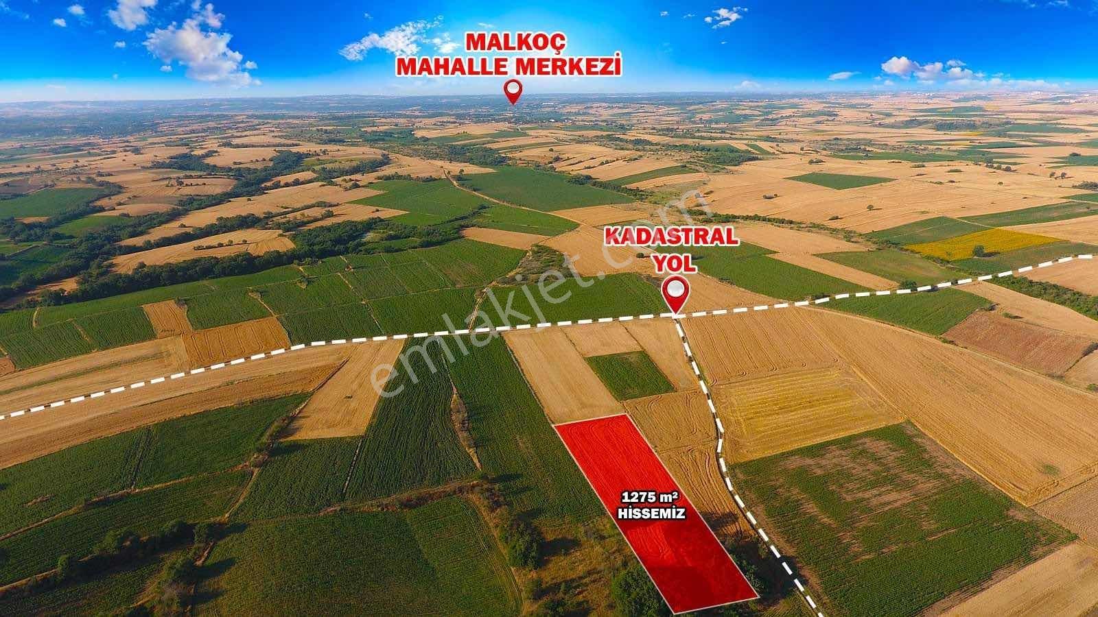 Uzunköprü Başağıl Mahallesinde 1.275 M2 Kadastral Yolu Mevcut - Görsel 4