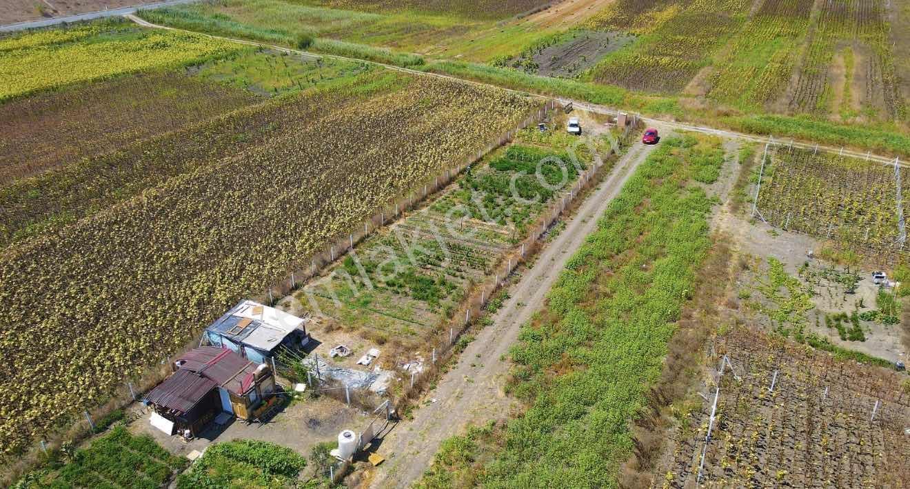 Silivri Seymen Mahallesinde 1.242 M2 Telle Çevrili Satılık Bahçe - Görsel 16