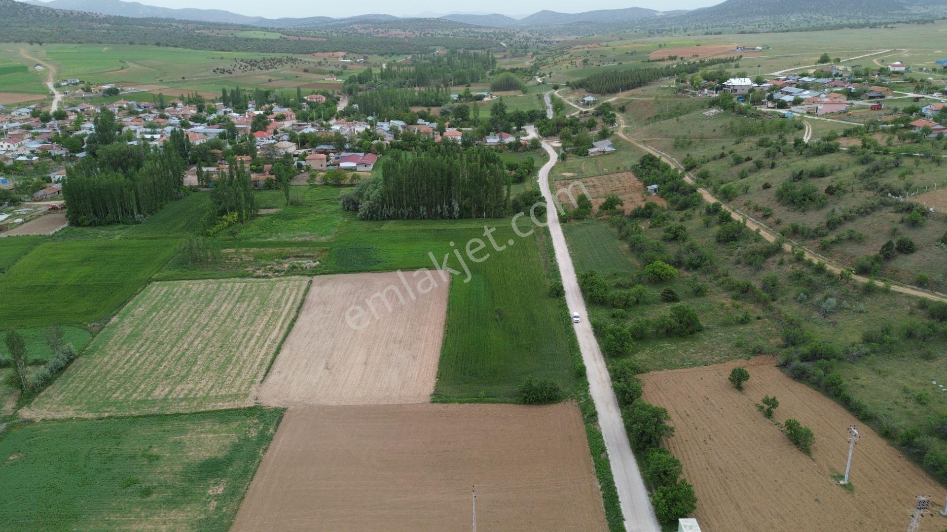 Güneysınır Aydoğmuşda Asfalt Yola Cepheli 961 M² Müstakil Tarla - Görsel 18