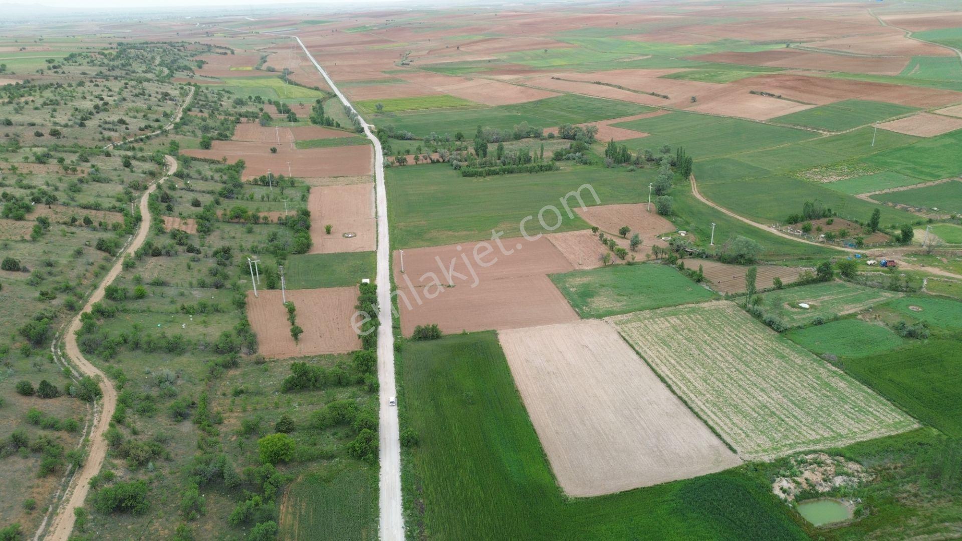 Güneysınır Aydoğmuşda Asfalt Yola Cepheli 961 M² Müstakil Tarla - Görsel 6