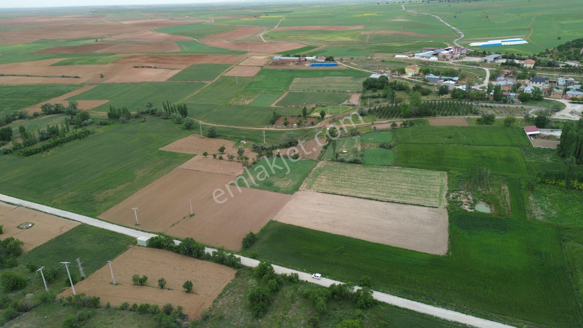Güneysınır Aydoğmuşda Asfalt Yola Cepheli 961 M² Müstakil Tarla - Görsel 4