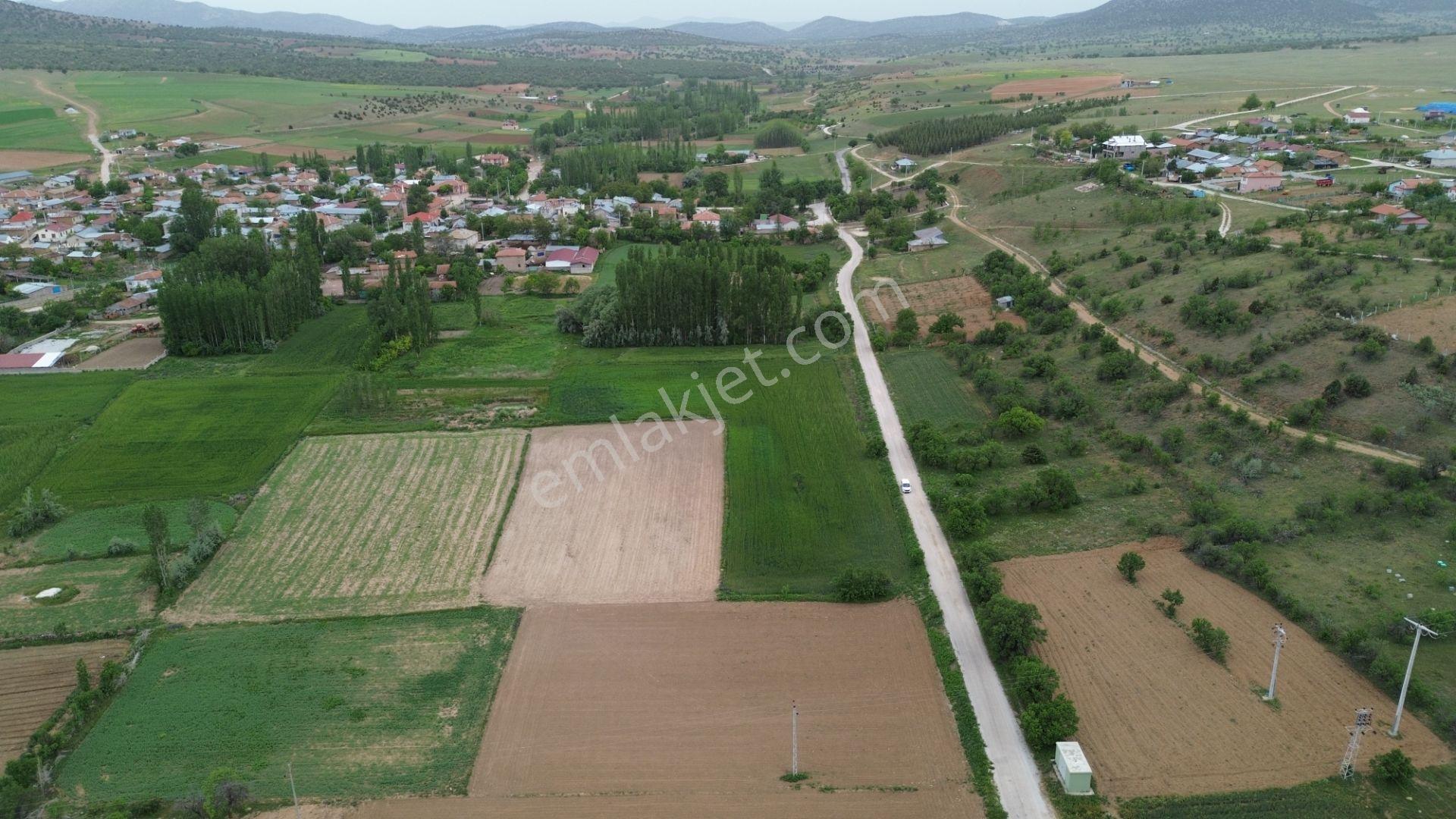 Güneysınır Aydoğmuşda Asfalt Yola Cepheli 961 M² Müstakil Tarla - Görsel 17