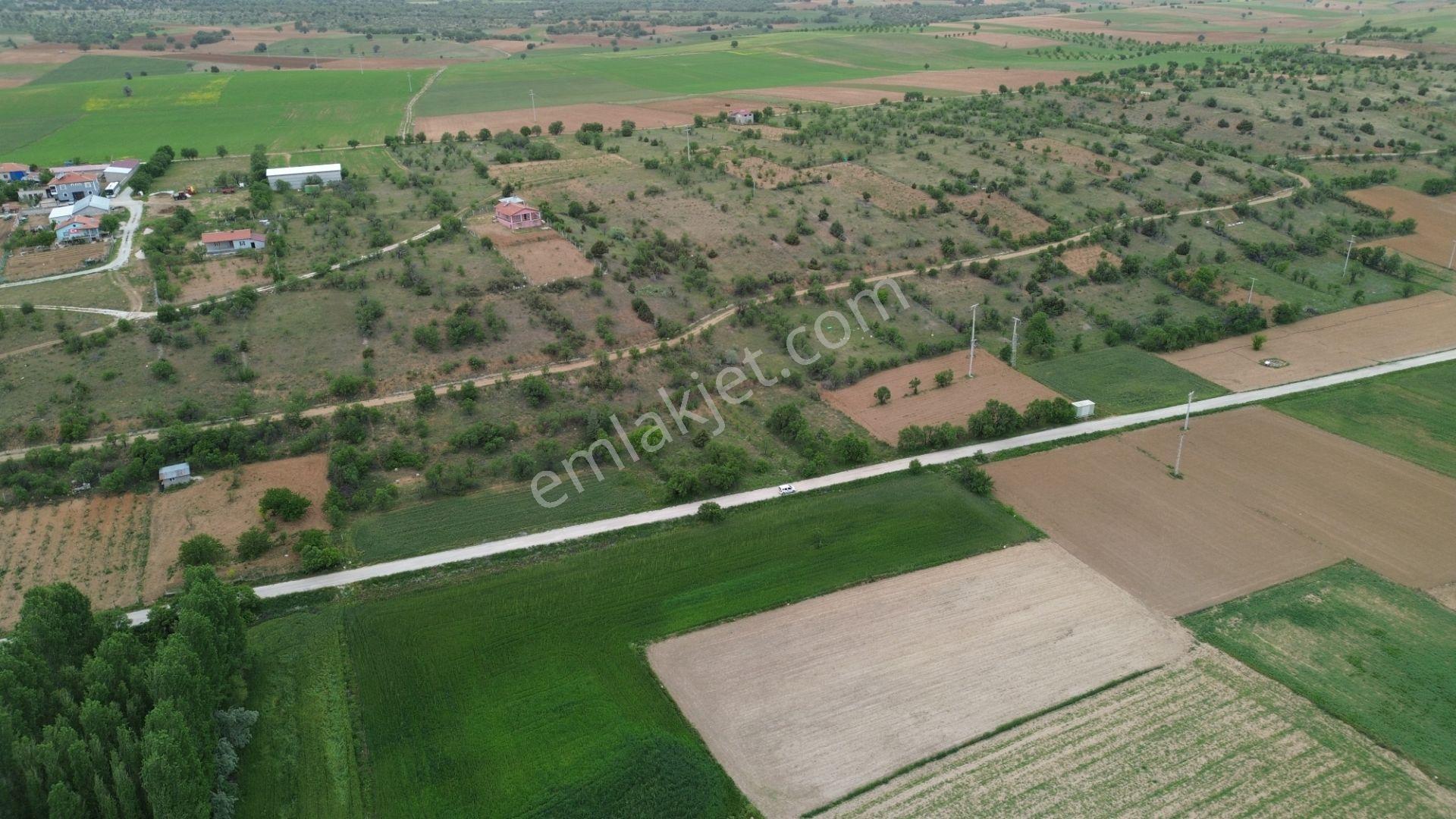 Güneysınır Aydoğmuşda Asfalt Yola Cepheli 961 M² Müstakil Tarla - Görsel 10