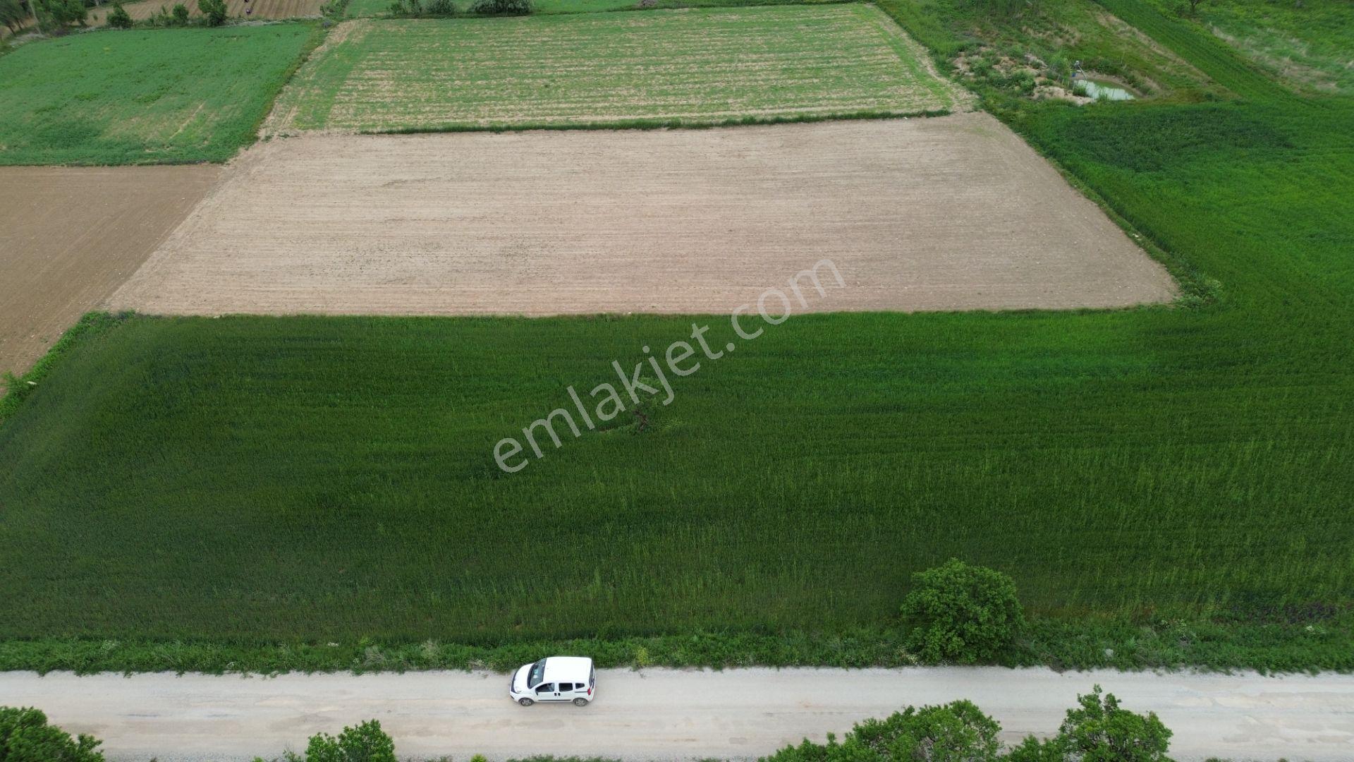 Güneysınır Aydoğmuşda Asfalt Yola Cepheli 961 M² Müstakil Tarla - Görsel 2