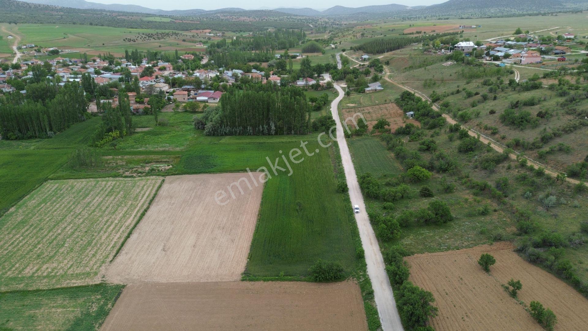 Güneysınır Aydoğmuşda Asfalt Yola Cepheli 961 M² Müstakil Tarla - Görsel 19