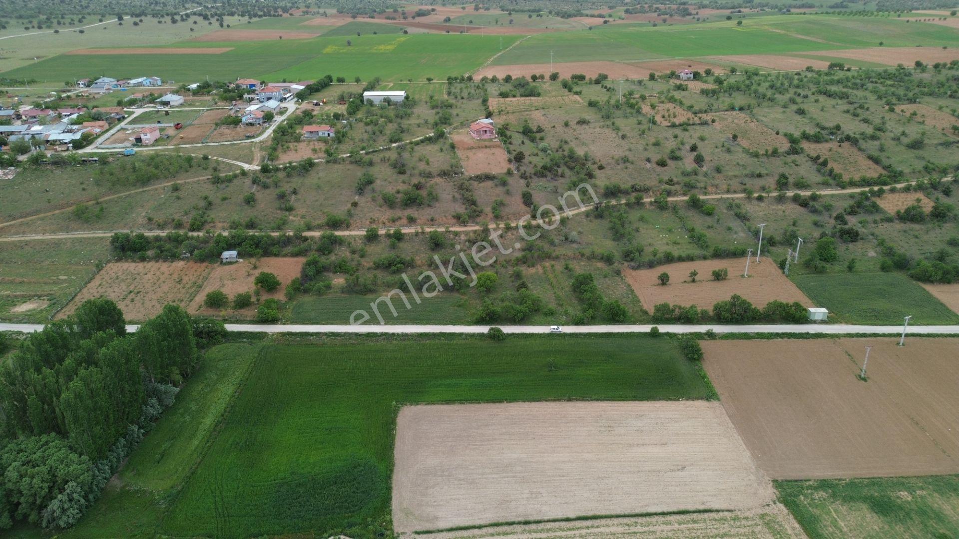 Güneysınır Aydoğmuşda Asfalt Yola Cepheli 961 M² Müstakil Tarla - Görsel 11